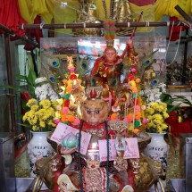 Monkey Gods in Bangkok's Chinatown